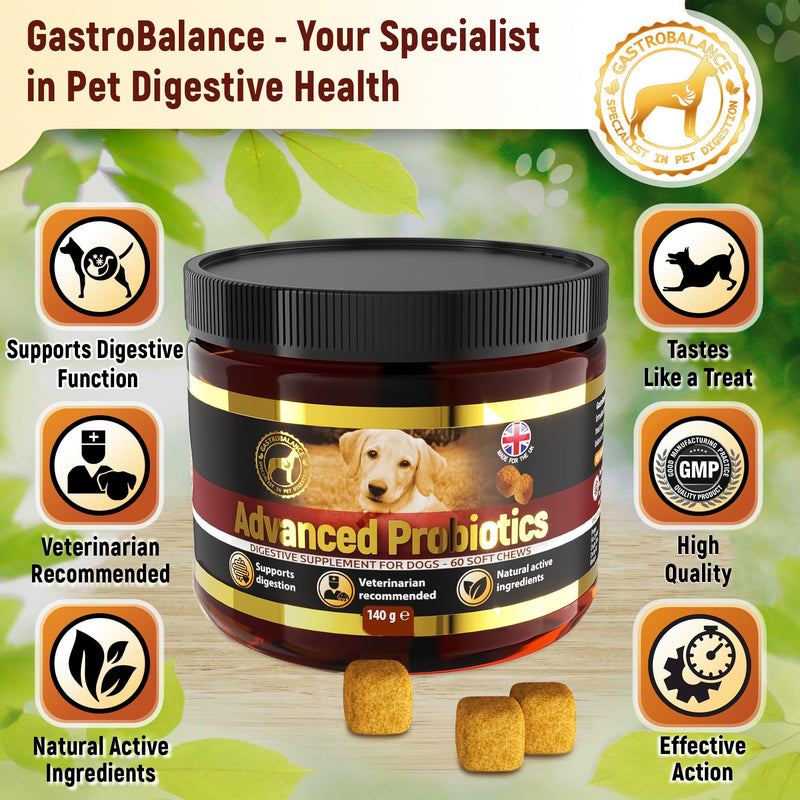 Advanced dog probiotics for gut health – 60 natural dog probiotic chews recommended by vet (Chicken flavour) Chicken flavour