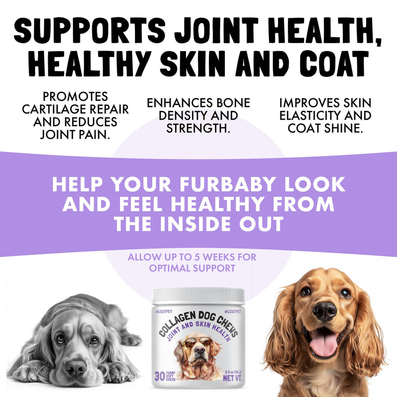 Collagen Dog Chews for Joint & Skin Health 28 Soft Chews All Breeds Mobility, Cartilage Repair & Pain Relief Hip & Joint Skin Coat Anti-inflammatory Support Eggshell Membrane Senior & Adult Dogs - PawsPlanet Australia