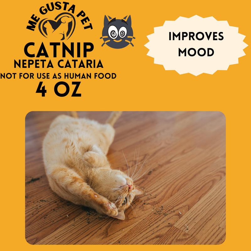 Catnip Cat Nip Blend | Premium Canadian Catnip Bulk Strong Cat Nip for Cats | Cat Nip Treats | All-Natural Cat Nip | Catnip Bag | Catnip Kitty Safe | Catnip Refill for Catnip Toys (4 Ounce) - BeesActive Australia