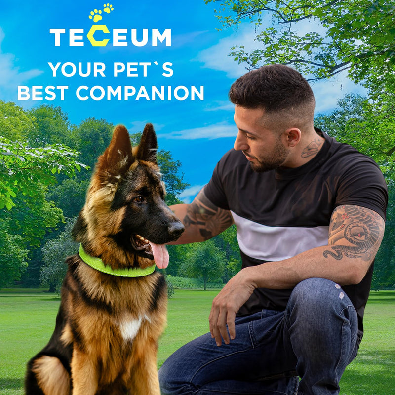 TECEUM Reflective Pet Collar – Acid Green – S – Extra Soft Padding – Basic Nylon Dog Collar – Quick Release Buckle – Fits Small, Medium and Large Dogs, Puppies, Cats – ESA & Service Dog Options - BeesActive Australia
