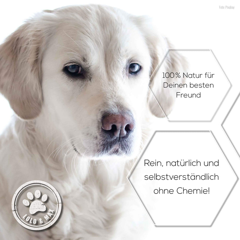 Lolo & Max - Flea & tick treatment for dogs 100% natural spot on - Up to 8 months defense and control of fleas & other parasites (ticks, mites, lice, hair lice, bedbugs) - 40ml - BeesActive Australia
