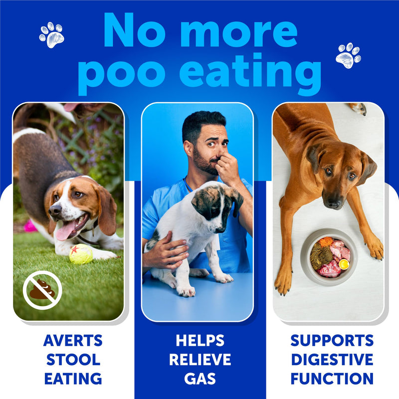 No Poo Chews for Dogs - Coprophagia Stool Eating Deterrent - Stop Eating Poop Treats with Probiotics, Digestive Enzymes, Pumpkin - Prevent Dog, Puppy from Eating Poop - Gut Health Support Supplement 120 chews Pecking Duck