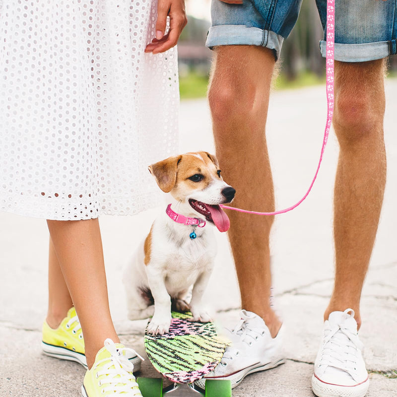 3 Pack Puppy Collar and Leashes Dog Collar and Leash for Small Dogs Pet Cat Kitten Collar and Leashes Adjustable Training Rope Quick Release Paw Print Soft Nylon Pet Collar - BeesActive Australia