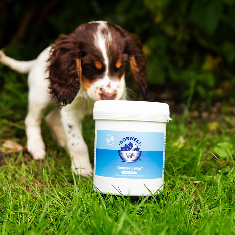DORWEST Keeper’s Mix Sensitive 500g, 100% natural Herbal Health Supplement for Dogs and Cats, All-Natural, Vitamins and Minerals – for All-Round Health
