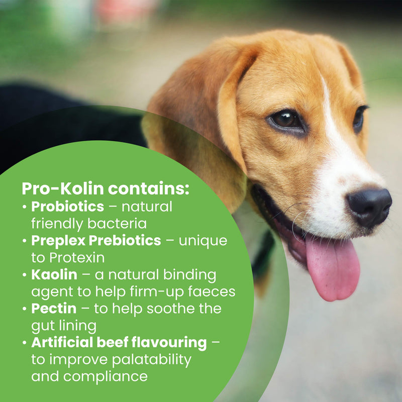 Pro-Kolin for Dogs and Cats Probiotic Paste and Syringe, 60ml & Protexin Veterinary Pro-Fibre for Dogs and Cats, 500g 60 ml (Single Pack) Single + Protexin Veterinary Pro-Fibre