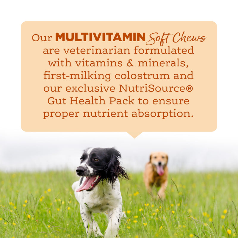 NutriSource AmpliFull Turkey Flavor Multivitamin Soft Chews for Dogs, Daily Supplement with Bovine Colostrum, Essential Vitamins & Minerals for Overall Health, 70 Chews (1 Pack) Multivitamin - Turkey