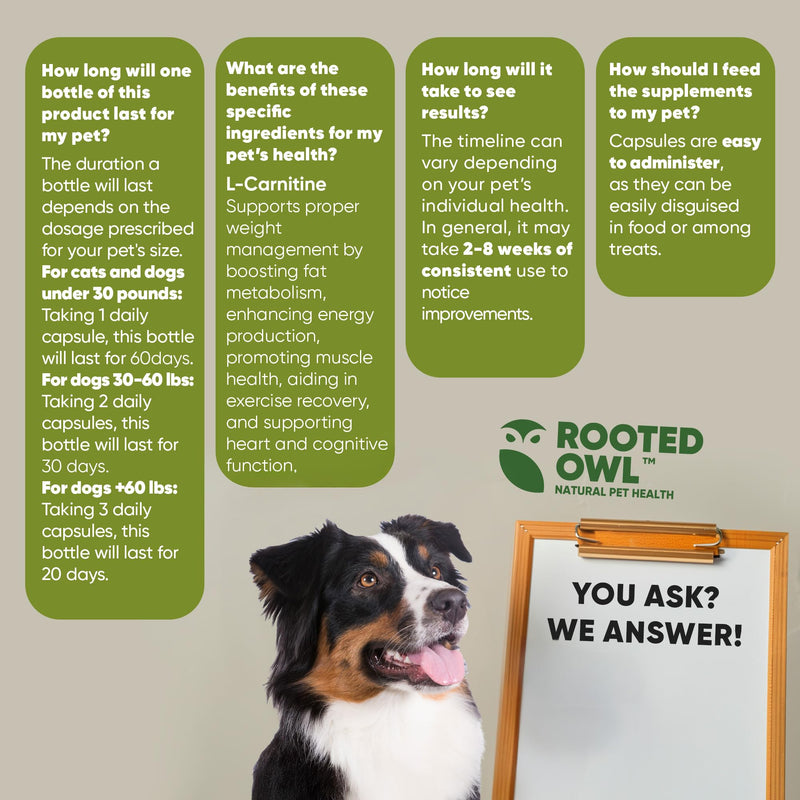 Rooted Owl Metabolism Support - L-Carnitine Supplement for Dogs and Cats to Support Healthy Weight - Dog and Cat Supplement - 60/ct Weight Management
