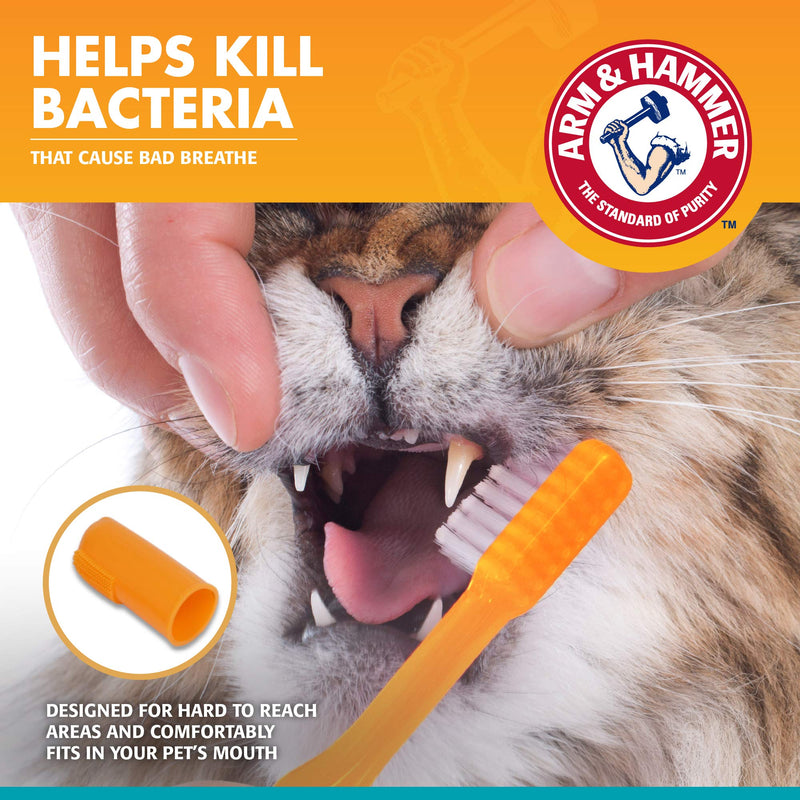 Arm & Hammer for Pets Dental Kit for Cats | Eliminates Bad Breath | 3 Piece Set Includes Cat Toothpaste, Cat Toothbrush & Cat Fingerbrush in Tasty Tuna Flavor,2.5 ounces 2.5 Ounce (Pack of 1) - BeesActive Australia