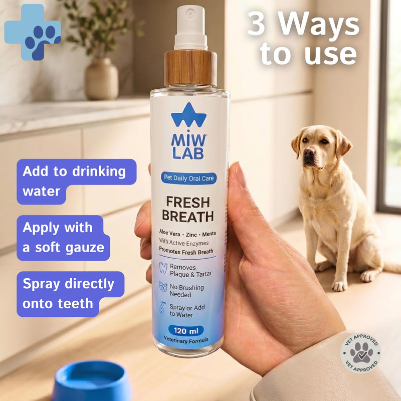 Oral Spray for Dogs and Cats Against Bad Breath with Digestive Enzymes Mild Mint Aloe Vera Zinc Water Additive Eliminates Bad Odor without the need for a Dog or Cat Toothbrush