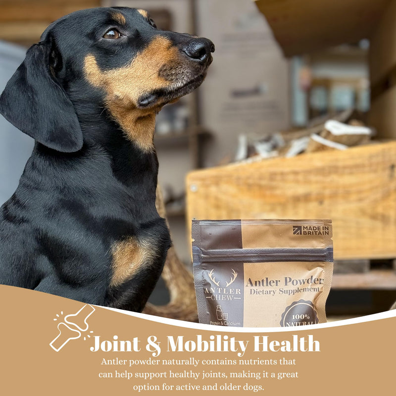 Premium Antler Powder for Dogs 150g | Natural Joint, Bone & Coat Supplement | Rich in Calcium, Phosphorus & Minerals | Grain-Free Hypoallergenic Dog Supplement | Healthy Support for All Breeds & Sizes