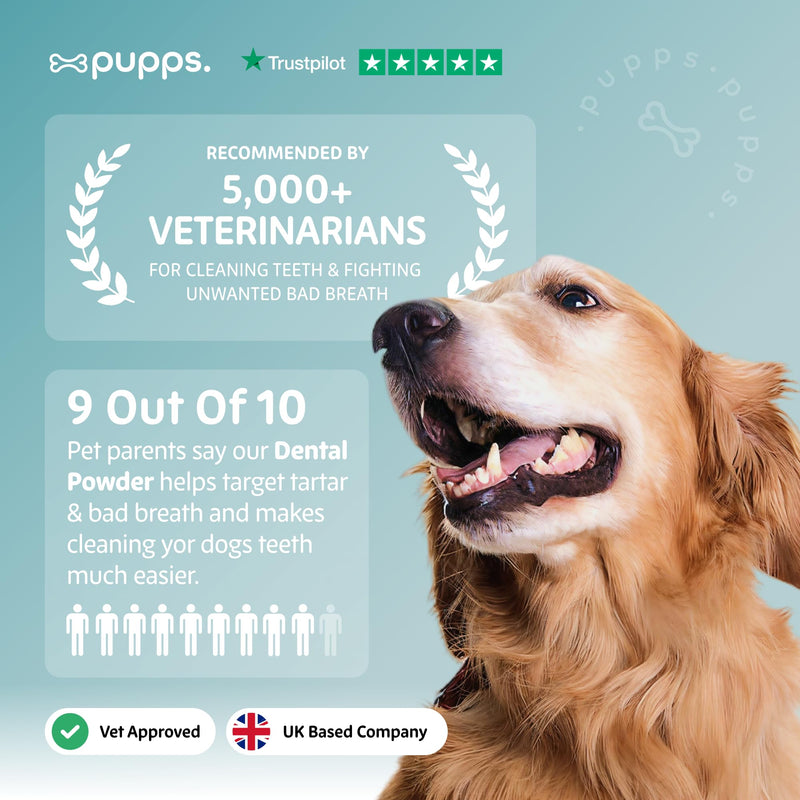 Pupps Dental Powder for Dogs 90g – Plaque & Tartar Support | Freshens Breath Naturally | Toothpaste & Toothbrush Alternative | Just Sprinkle on Food | Vet Approved, UK Made