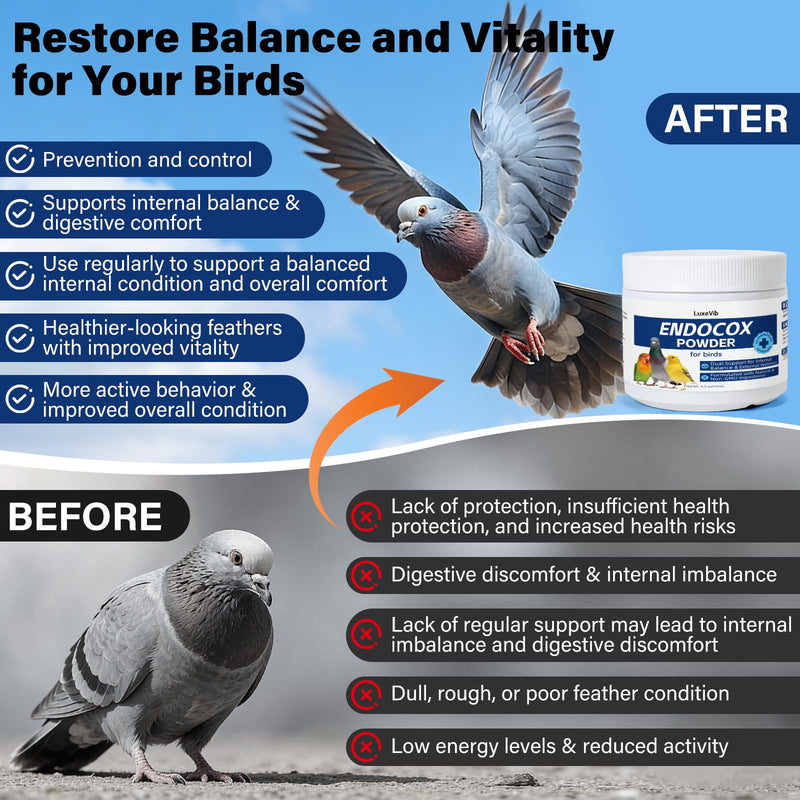 Bird Wellness Support Powder for Pigeons Canary Finches Parakeets Cockatiels Parrots & Aviary Birds | Daily Drinking Water Additive | Helps Maintain Digestive Balance & Overall Vitality