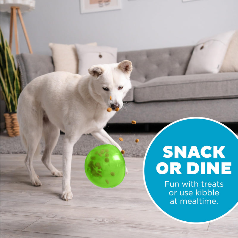 Outward Hound by Planet Dog Snoop Interactive Treat Dispensing Dog Toy, Large, Green One-Size Green Snoop - BeesActive Australia