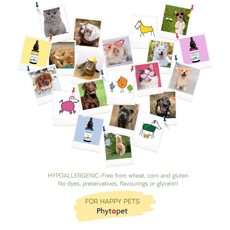 PhytoPet Ultimate Organ Mix | Freeze-Dried Beef Organ Multivitamin | Bioavailable Nutrition Booster for Pets | 90 Capsules | 30-Day Supply