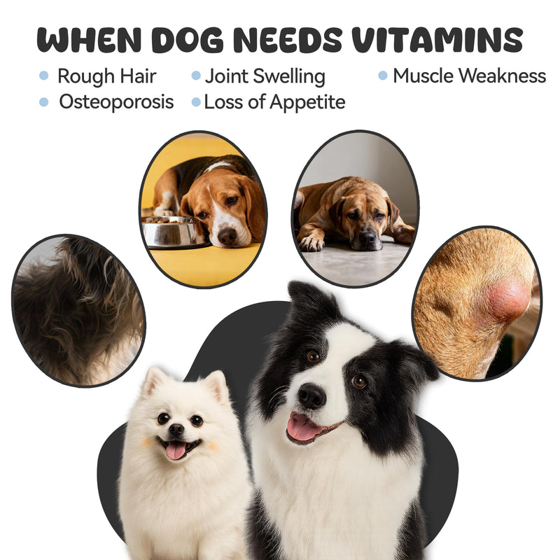 25-in-1 Dog Multivitamin Supplement, Rich in Various Vitamins, Helps Maintain Healthy Leg Joints, Skin, and Coat, Promoting Overall Health. Chicken Flavored chewable Tablets, 30 Tablets