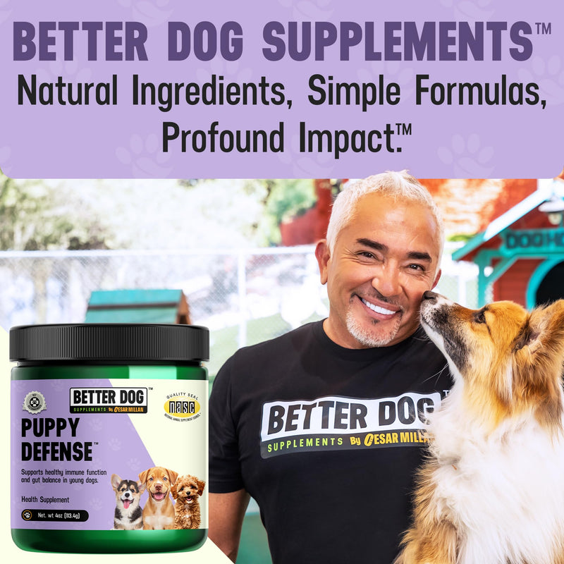 Better Dog Supplements by Cesar Millan® Puppy Defense – Natural Immune Support Powder for Young Dogs – Immunity, Gut Balance, Digestive Health & Early Wellness – 4oz, (60-Day Supply)