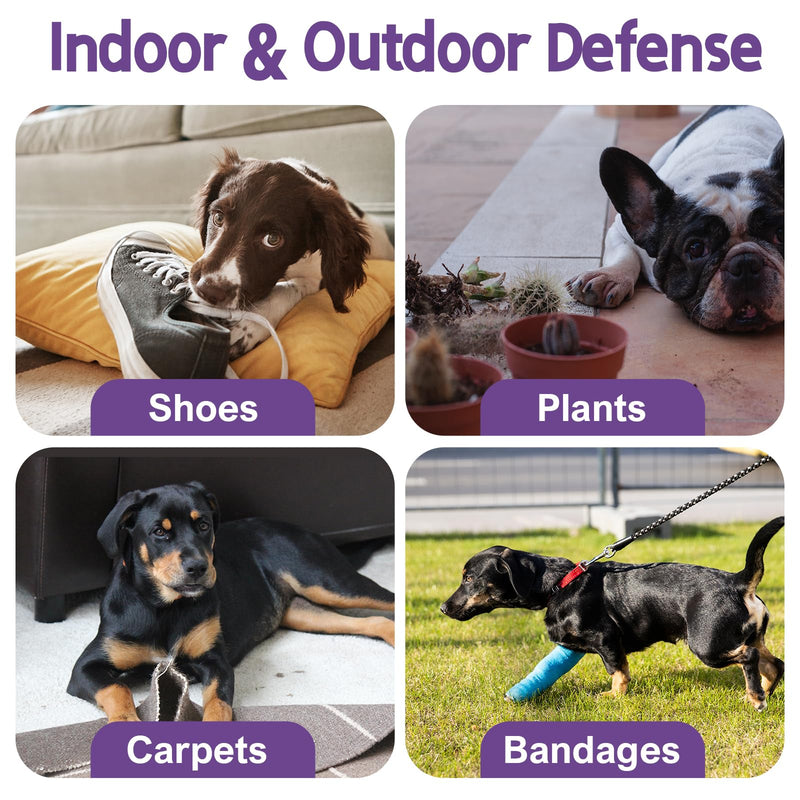 No Chew Spray for Dogs. Bitter Apple Spray for Dogs to Stop Chewing. Dog Training Aids to Prevent Dogs from Biting. Alcohol Free, Furniture, Plant and Pet Safe. Indoor and Outdoor Use, 4.2 oz. green - BeesActive Australia