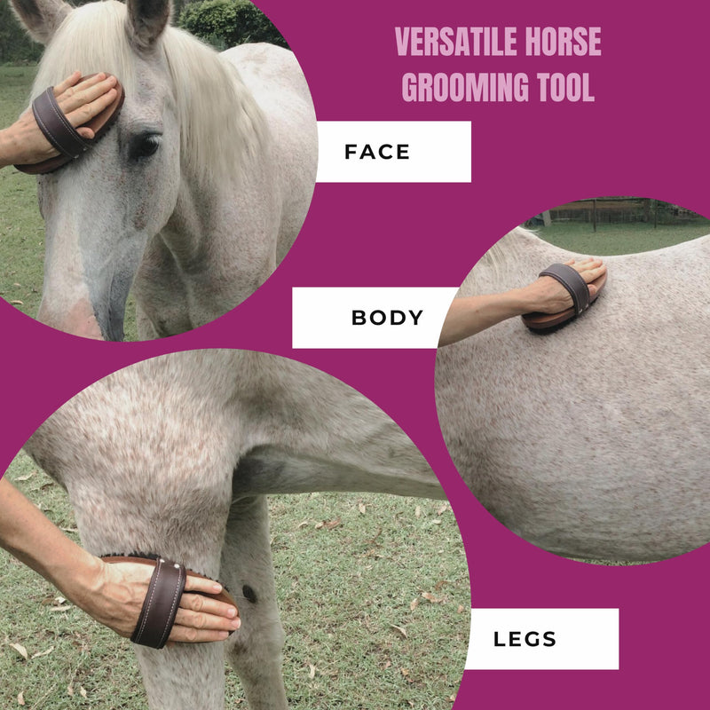 Horse Grooming Brush. Deluxe Handmade Soft Horse Brush For Face & Body. A Professional Equine Grooming Tool With Dense Soft Bristles To Gently Remove Surface Dust & Dirt & Promote A Smooth Shiny Coat. - BeesActive Australia