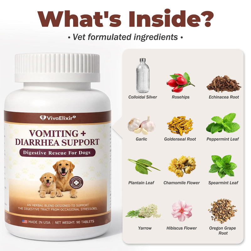 Digestive Rescue for Dogs and Puppies – Helps Maintain Appetite, Gut Function & Stool Consistency – Relief of Diarrhea & Stomach Upset – With Electrolytes, Colostrum IgG, Probiotics – 90 Tablets