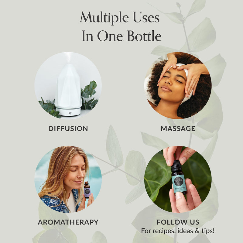 Edens Garden Fighting Five Essential Oil Blend- 100% Pure Premium Grade, Undiluted, Natural, Therapeutic, Aromatherapy, The Best for Diffusing, Candle, Laundry, Humidifiers 10 ml (.33 fl oz) 0.33 Fl Oz (Pack of 1) - BeesActive Australia