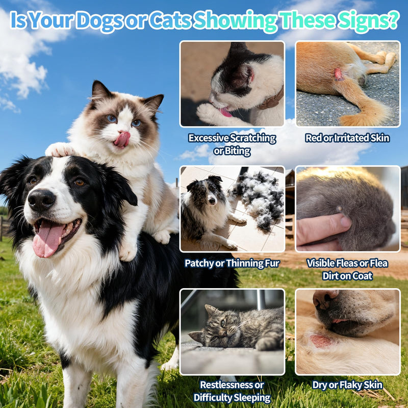 Flea and Tick Prevention for Dog and Cat, Natural Oral Flea & Tick Itch Relief Support Drops with Multivitamin for Pets - Supports Healthy Skin & Coat - Oral Supplement for All Breeds & Ages