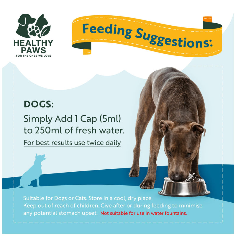 Healthy Paws Dental Water Additive for Dogs & Cats - Supports Clean Teeth, Fresh Breath & Healthy Gums - Plaque & Tartar Control - No Brushing Needed