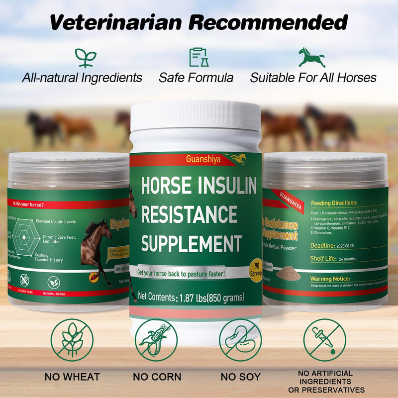 Insulin Resistance Supplement for Horses - Horse Laminitis Treatment-Natural Laminitis Herbal Powder for Sore Feet & Chronic Laminitis, 1.87lb (90-Day Supply) 1.87lb (90-Day Supply) - PawsPlanet Australia