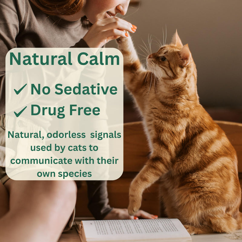 60-Day Cat Calming Pheromone Diffuser - Reduces Urine Spraying, Anxiety, Scratching & Meowing, Timer Modes to Extend Refill Life (2 Diffusers + 2 Refills)