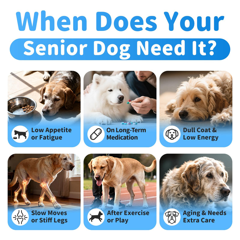 Senior Dog Liver & Joint Supplement – Same, Milk Thistle (Silybin), Glucosamine, MSM for Liver Health Detox, Mobility, Joint Pain Support, Cognitive & Vitality Support, Beef Flavor, 90Ct 90 Count (Pack of 1)