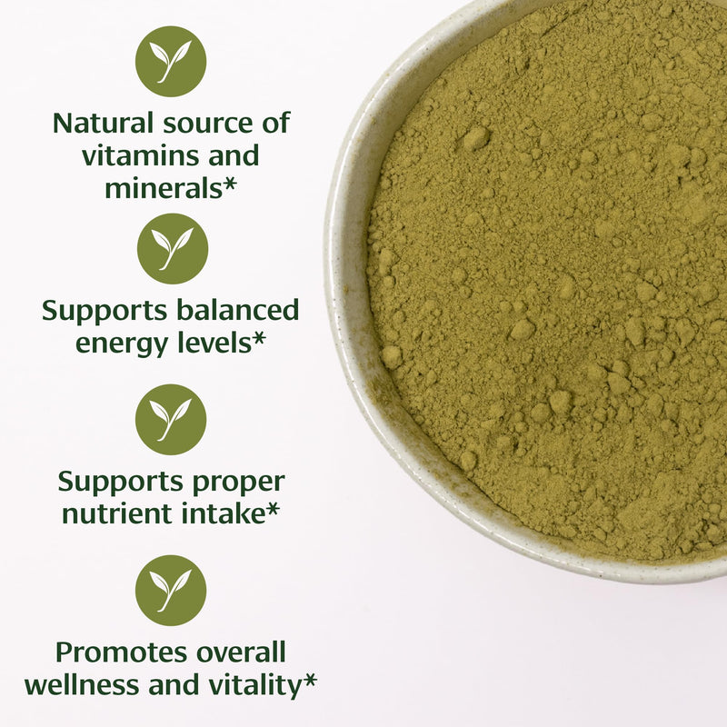 Banyan Botanicals Organic Moringa Powder – Moringa Oleifera – Superfood Powder and Natural Source of Vitamins & Minerals* – 1/2lb – Non-GMO Sustainably Sourced Vegan 1/2 Pound