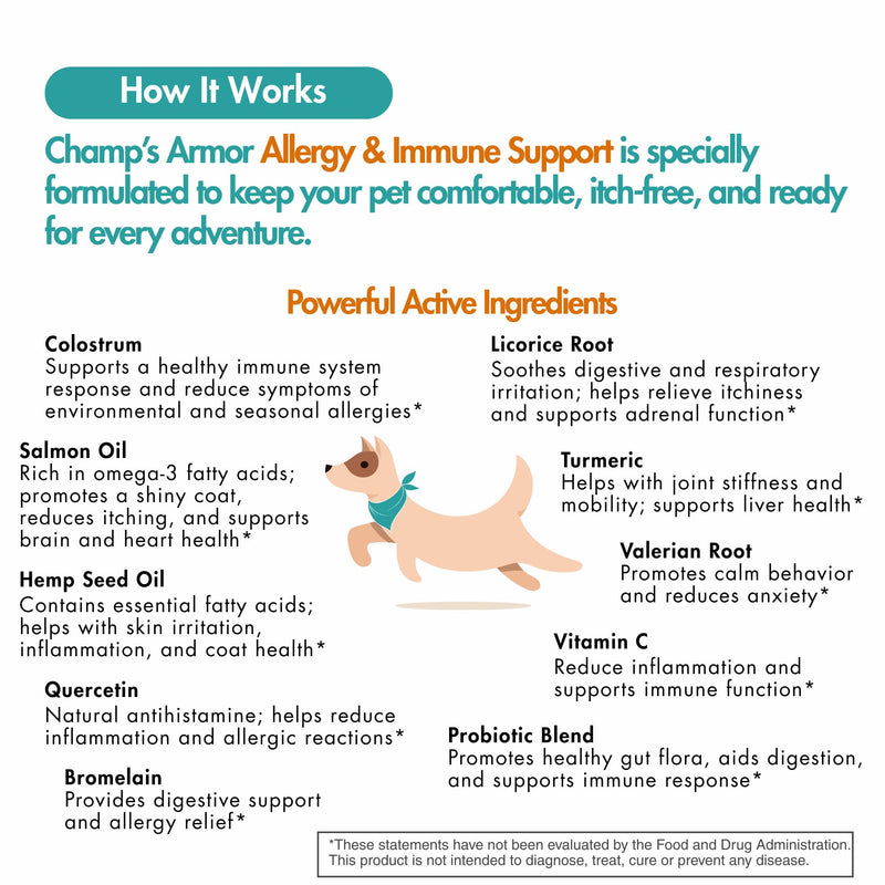 Dog Multivitamin Bundle - Champ's Armor Allergy & Immune Chews + 10-in-1 Supplement | Hip Joint, Skin Coat, Digestive Health Support for Dogs