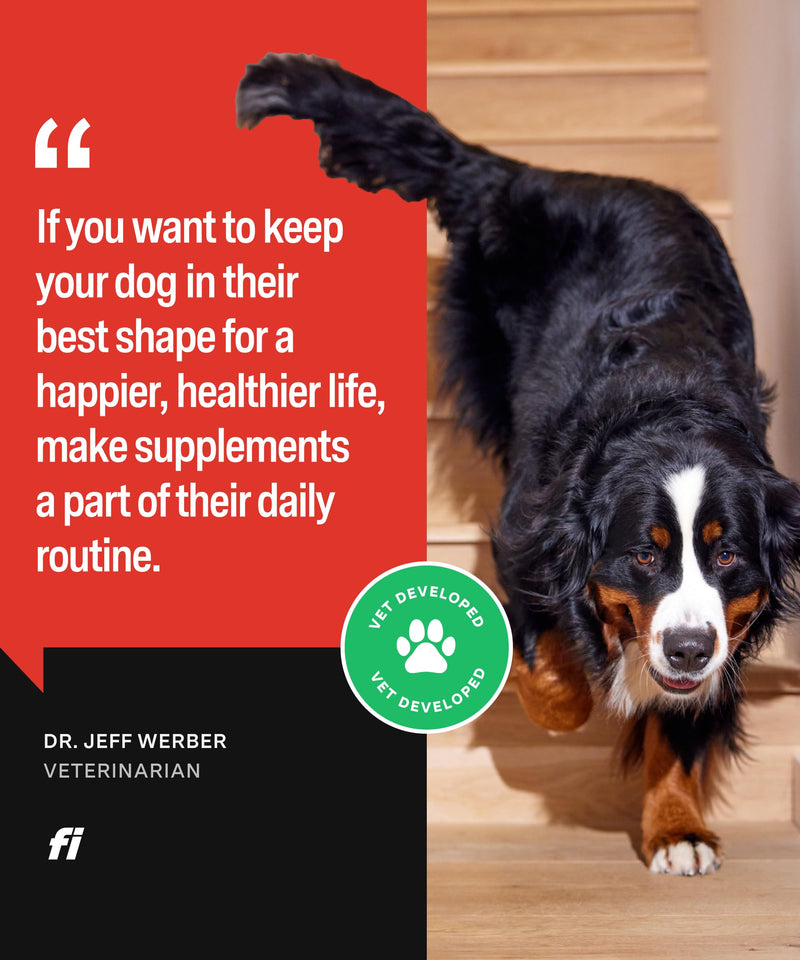 Fi Hip & Joint Supplement for Dogs | Powder Joint Support | Glucosamine, Chondroitin & MSM, Krill, Zinc | Promotes Mobility, Flexibility, Bone and Cartilage Health | Vet-Formulated | 90 Scoops