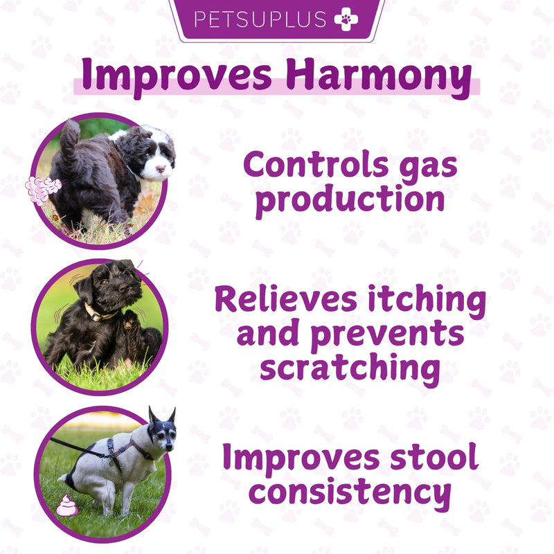 Dog Probiotics for gut health. Dog Probiotic Supplements. Pre and Probiotics for Dogs. Support digestive health, rebalance gut microbiome, aid digestion & boost the immune system. 120 Chews