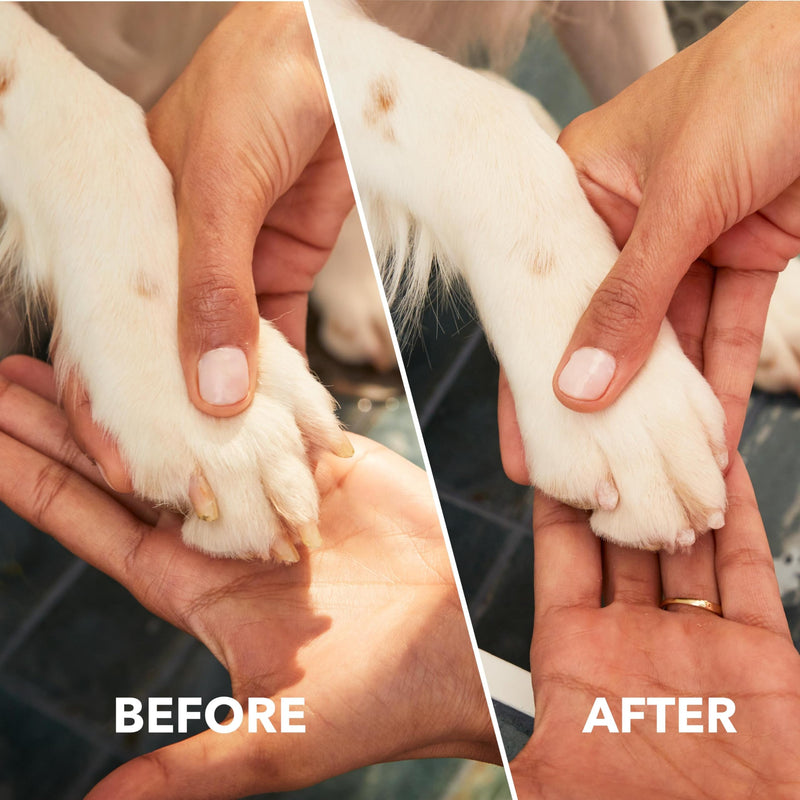 Dremel PawControl 7760-PET Dog Nail Grinder and Trimmer - Cordless & Rechargeable Pet Grooming Tool Kit - Safe for Dogs, Cats, and Small Animals (Amazon Exclusive) - BeesActive Australia