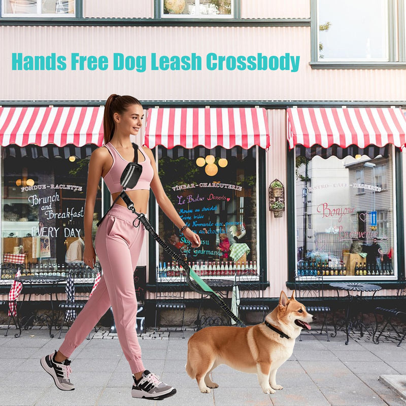 Hands Free Dog Leash Waist & Crossbody for Walking, No Pull Heavy Duty Bungee Double Dog Leash for Two Dogs with Pouch, Padded Handles & Reflective for Large Medium Dogs, Black 2 Leashes Black/Blue