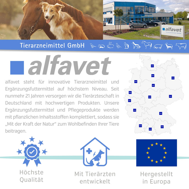 Alfavet ReConvales Power, supplementary food for dogs and cats, poplar paste for underweight, tube 140g 140 g single - BeesActive Australia