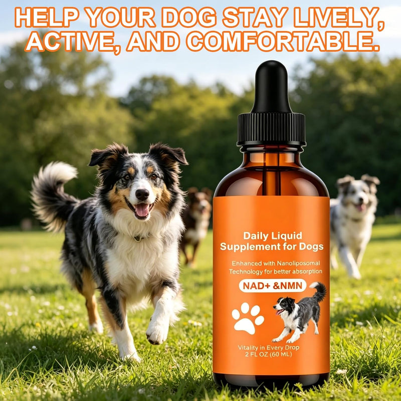 NAD+ for Dogs - Longevity Supplements for Dogs Energy, Vitality, Healthy Aging, Cognitive Health - Senior Dog Supplement with NR, Trans-Resveratrol, Quercetin, Glucosamine HCI - 60ML