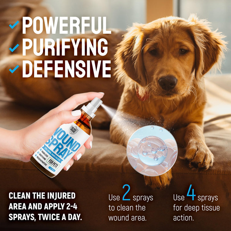 SILVER GRADE Wound Spray for Pets – Colloidal Silver Wound Care for Dogs & Cats – Helps with Skin Irritation, Hot Spots, Rashes, Scratching, Itch, Bites & Burns – Use a Dog Cone – 4 oz 4 Fl Oz