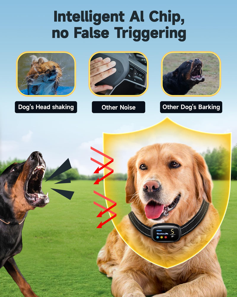 Bark Collar 2 Pack, Update Barking Count Dog Shock Collar for Large Medium Small Dogs 10-150lbs, Rechargeable Anti Barking Training Silencer,5 Adjustable Sensitivity, IP67 Waterproof - BeesActive Australia