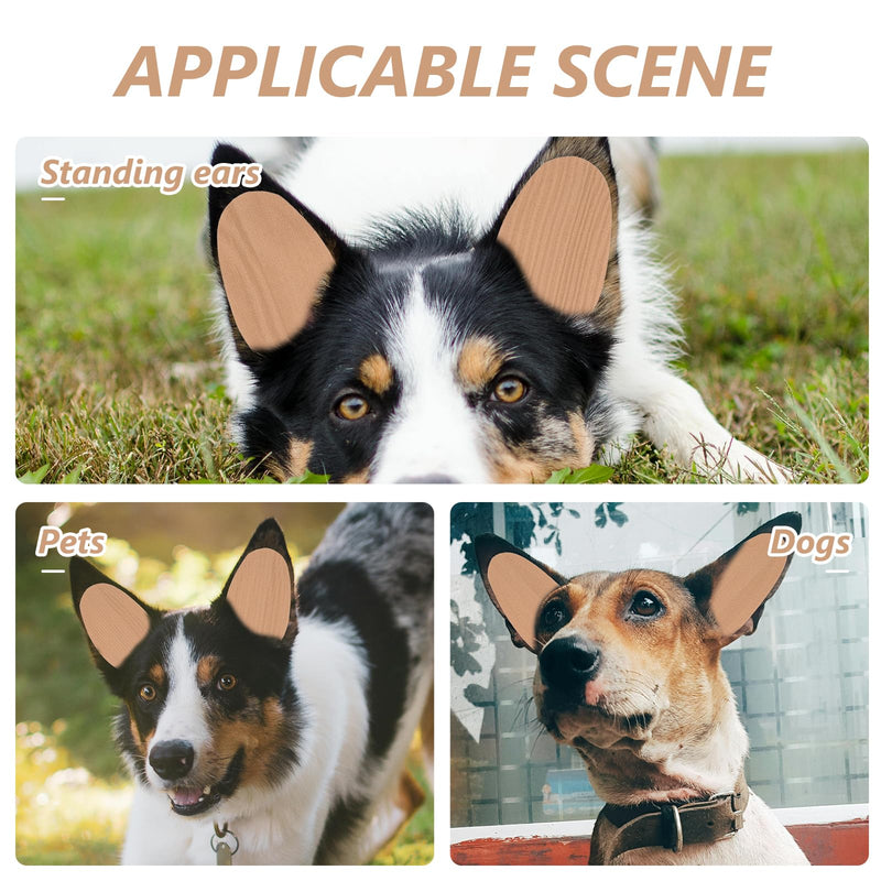 VANZACK 10x5cm Extra Large Doberman Ear Posting Stickers - Medical Grade Support System with Adhesive Backing for Adult Dog Ear Training & Care 10.00X5.00X0.10CM