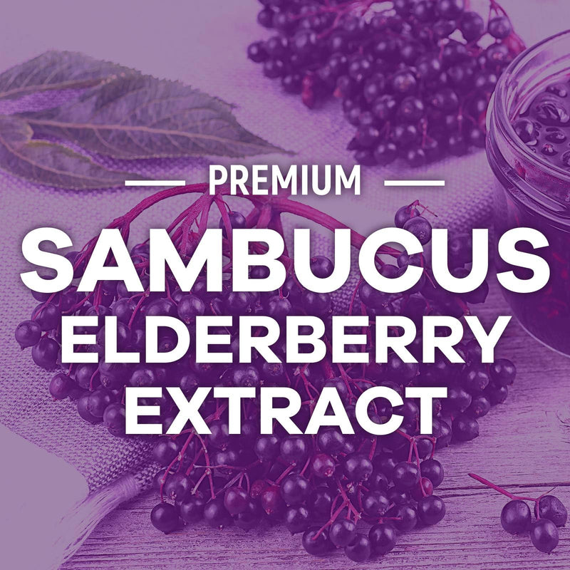 Elderberry Immune Support Gummies - 3X Strength Black Elderberry Gummy with Vitamin C, D3 and Zinc for Kids & Adults - Immune Health Support Supplement Gummy, Black Elder Berry Vitamins - 60 Gummies 60 Count (Pack of 1)