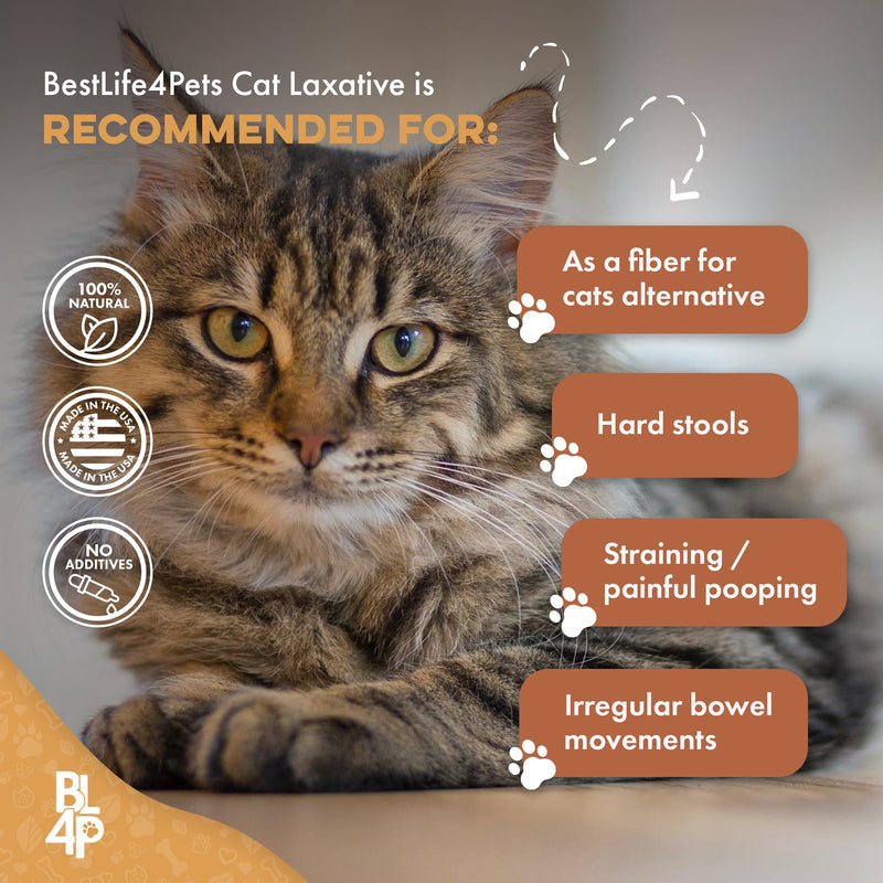 Cat Laxative Constipation Relief - Natural Cat Stool Softener Remedy for Irregular Bowel Movements Without Cat Diarrhea, Supports Feline Digestion & Gas Pain Relief - 400 Odorless, Tasteless Pills - BeesActive Australia