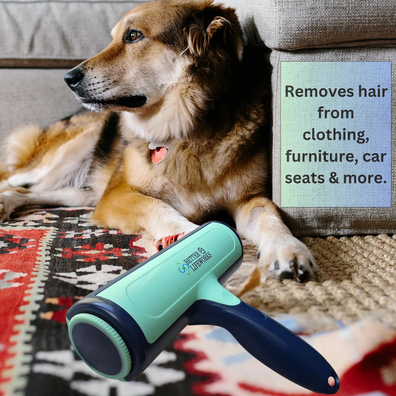 Reusable Pet Hair Remover-Lint Roller for Couch, Furniture, Carpet, Clothing and Bedding, Eco-Friendly Cat and Dog Hair Remover, Portable Pet Hair Removal Tool in Mint Green - BeesActive Australia