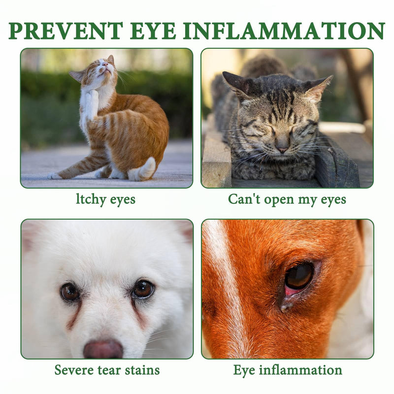 Eye Drops for Dogs and Cats, 2 Pcs Cat Dog Eye Drops, Soothes, Protects & Moisturizes, Fully Protects Your Pet's Eyes (120 ml)