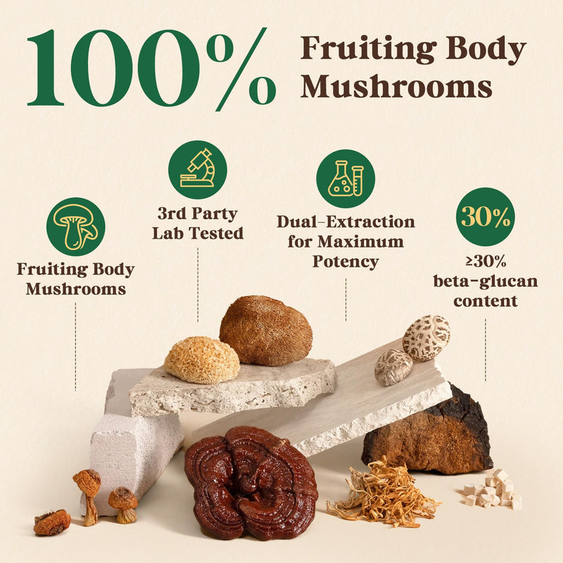 Fidus 16 Mushroom Supplement Powder with 17,300mg, 90 Day Servings Mushroom Coffee Alternative for Immunity, Focus & Energy with Ashwagandha, Lion's Mane, Chaga and Reishi, 100% Fruiting Bodies 6.7 Ounce (Pack of 1)