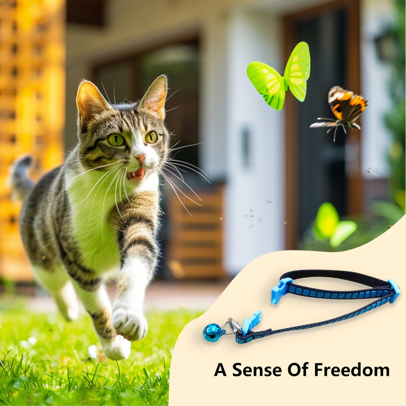 Diffaxy cat collar with safety clasp, pack of 5, adjustable cat collar with bell, bright colors cat collars for all domestic cats - BeesActive Australia