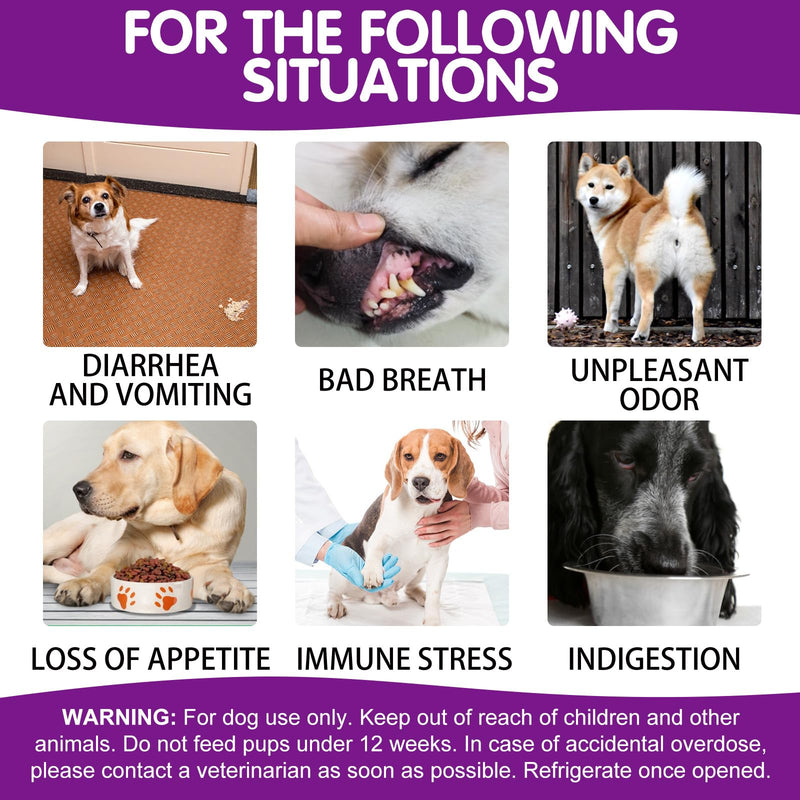 Probiotics Chews for Dogs Promotes Digestion and Kin & Coat Pure Natural Dog Pet Fiber Supplement - 120 Chewable Treats