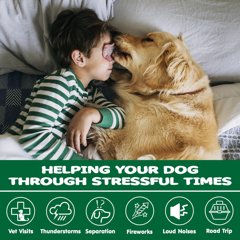 Calming Chews for Dogs - Effective for Separation, Barking & Composure, Natural Ingredients, Chicken Flavor 120 Soft Chews
