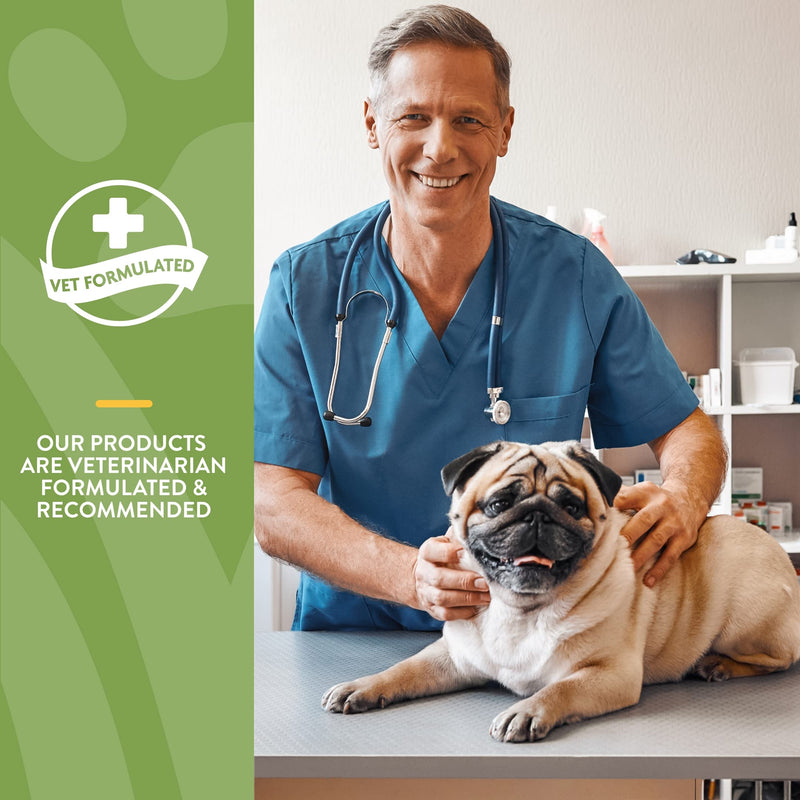 NaturVet – Coprophagia Stool Eating Deterrent Plus Breath Aid – 70 Soft Chews & No Scoot for Dogs - 60 Soft Chews - Supports Healthy Anal Gland & Bowel Function