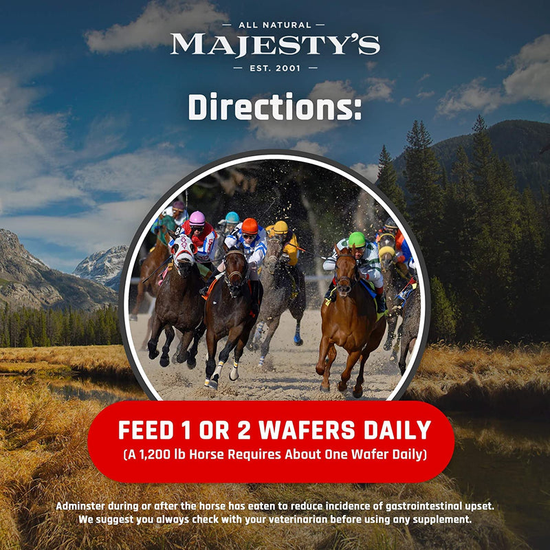Majesty's Biotin Wafers - Superior Horse / Equine Hoof and Coat Support Supplement - Copper, Zinc, Lysine, Methionine - 30 Count (1 Month Supply) - BeesActive Australia